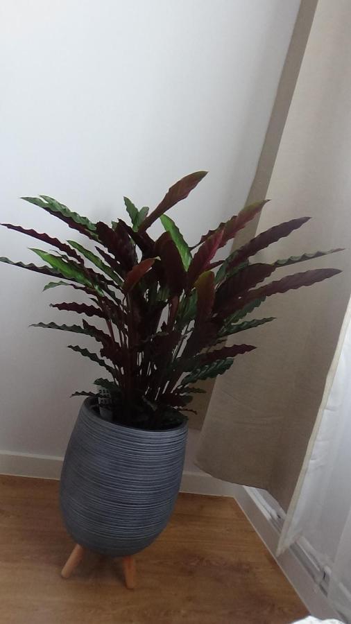 Apartament Na Jeziornej カルトゥジ エクステリア 写真